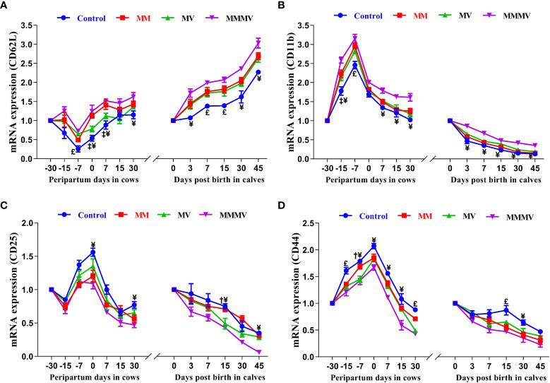 https://cdn.ncbi.nlm.nih.gov/pmc/blobs/ed83/9950815/745e53eeaaf0/fimmu-14-1059956-g005.jpg
