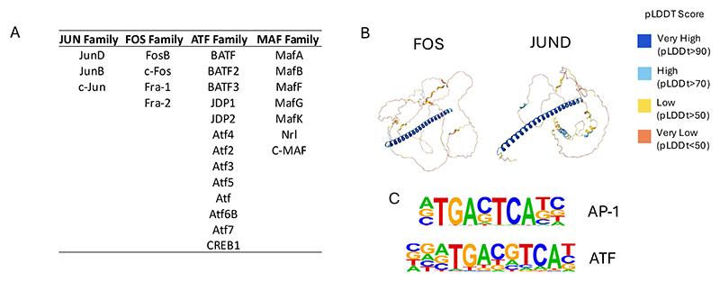 https://cdn.ncbi.nlm.nih.gov/pmc/blobs/ed8b/7616781/18a6d36e4a3d/EMS199721-f002.jpg
