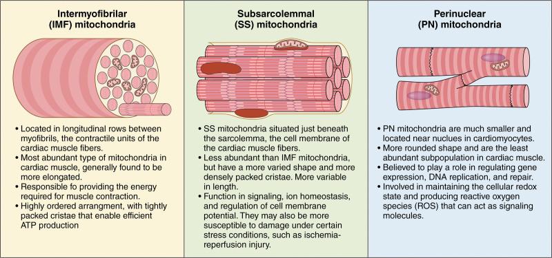 https://cdn.ncbi.nlm.nih.gov/pmc/blobs/edbf/11227307/34242ce3d1bd/res-135-372-g002.jpg