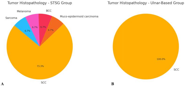 https://cdn.ncbi.nlm.nih.gov/pmc/blobs/edc5/12108682/f9fbe17062d4/biomedicines-13-01131-g004.jpg
