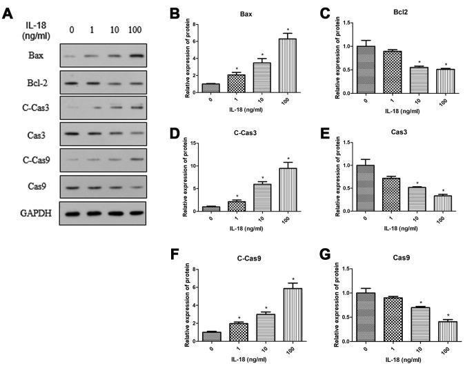 https://cdn.ncbi.nlm.nih.gov/pmc/blobs/edc7/7138594/4ceb146b5c53/aging-12-102937-g002.jpg