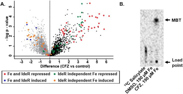 https://cdn.ncbi.nlm.nih.gov/pmc/blobs/edd3/12003420/f6c00c0e1794/fmicb-16-1539139-g002.jpg