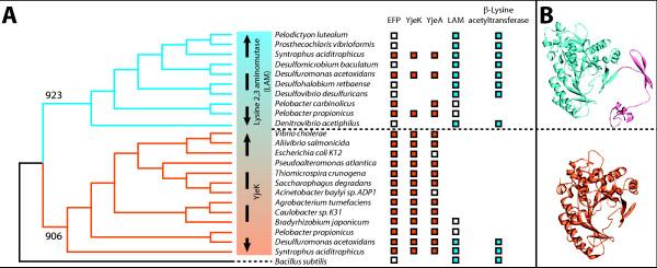 https://cdn.ncbi.nlm.nih.gov/pmc/blobs/ede8/2821294/c321303601ad/1745-6150-5-3-2.jpg