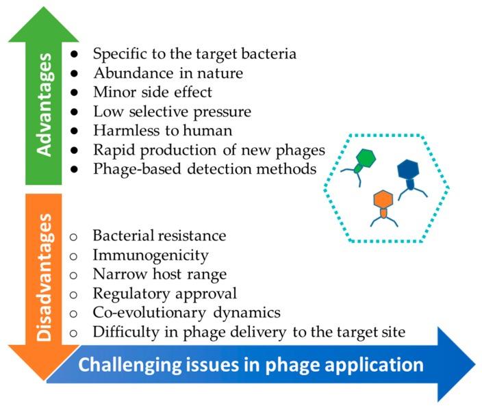 https://cdn.ncbi.nlm.nih.gov/pmc/blobs/ede9/6920764/31fd66bc1ea2/microorganisms-07-00570-g001.jpg