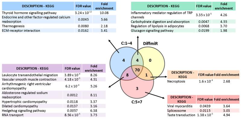 https://cdn.ncbi.nlm.nih.gov/pmc/blobs/edeb/9740605/14ffcc77ffd1/ijms-23-15226-g006.jpg
