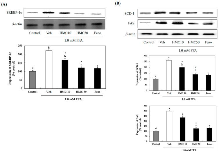 https://cdn.ncbi.nlm.nih.gov/pmc/blobs/ee04/11510552/4f0ea34c28d2/nutrients-16-03475-g004.jpg