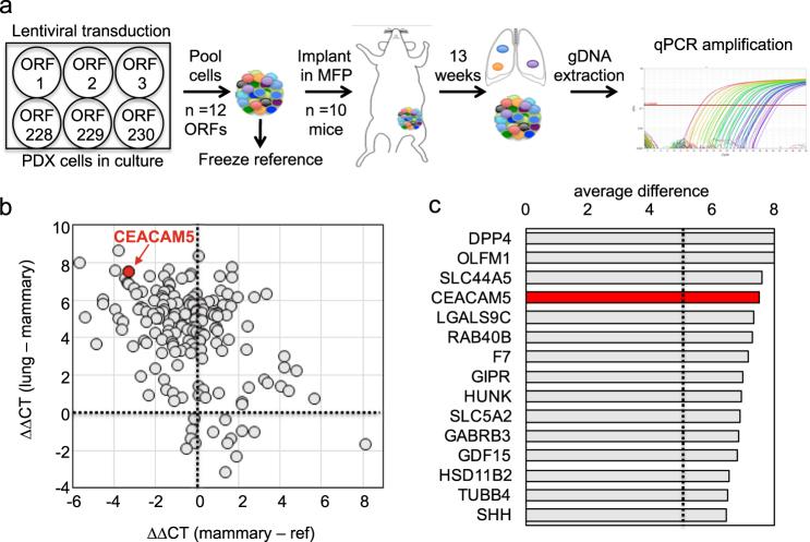 https://cdn.ncbi.nlm.nih.gov/pmc/blobs/ee10/5928229/e64f522756ca/41523_2018_62_Fig2_HTML.jpg