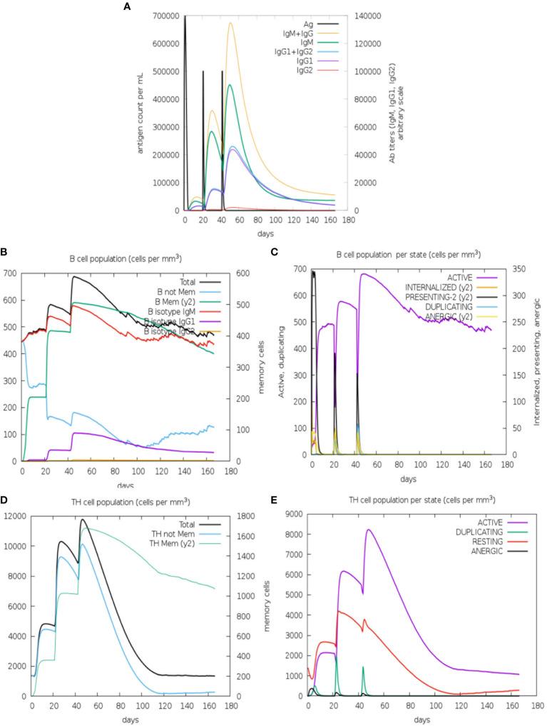 https://cdn.ncbi.nlm.nih.gov/pmc/blobs/ee30/11219565/94ab479e5b9b/fimmu-15-1392043-g005.jpg