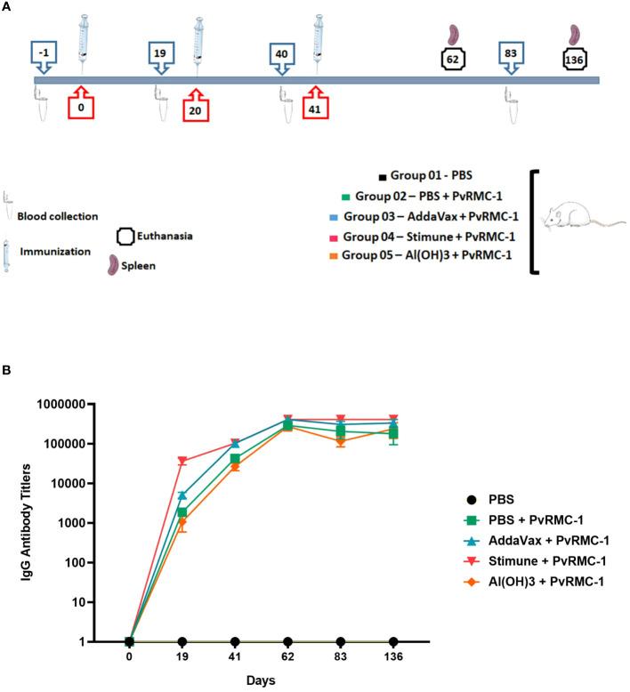 https://cdn.ncbi.nlm.nih.gov/pmc/blobs/ee30/11219565/9fd95ce9d2ce/fimmu-15-1392043-g001.jpg