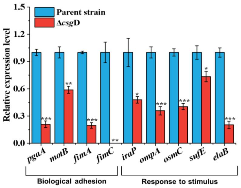 https://cdn.ncbi.nlm.nih.gov/pmc/blobs/ee8b/10530992/8e2b5c113517/ijms-24-13681-g006.jpg