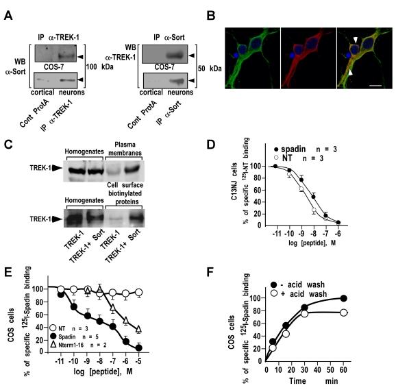 https://cdn.ncbi.nlm.nih.gov/pmc/blobs/eea6/2854129/645770fe2f0c/pbio.1000355.g001.jpg
