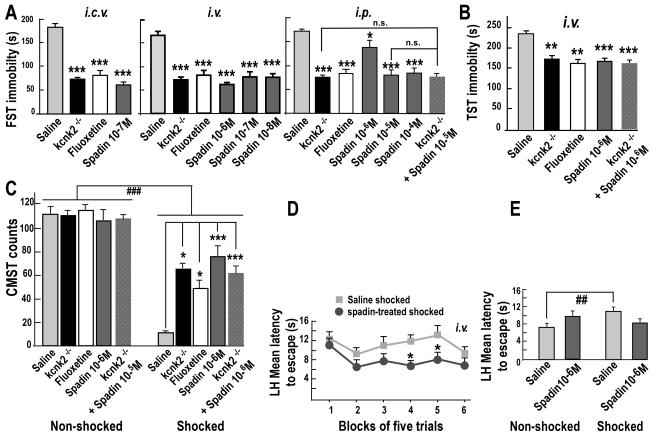 https://cdn.ncbi.nlm.nih.gov/pmc/blobs/eea6/2854129/a3ea944dc519/pbio.1000355.g004.jpg