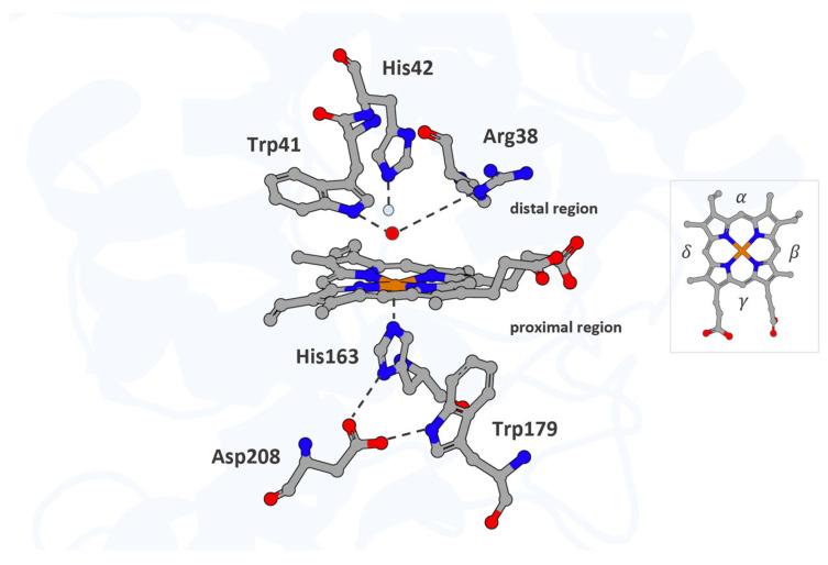 https://cdn.ncbi.nlm.nih.gov/pmc/blobs/eeb3/12286260/f01c53632c1c/proteomes-13-00026-g001.jpg