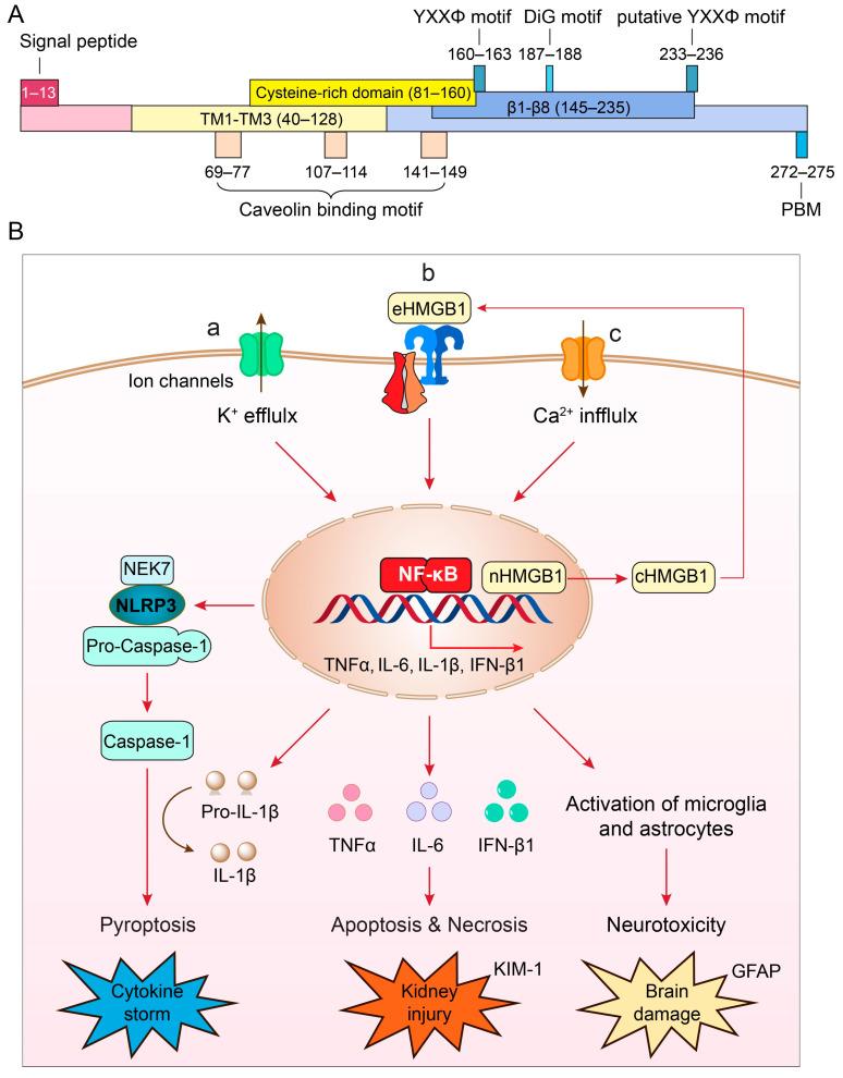 https://cdn.ncbi.nlm.nih.gov/pmc/blobs/eed0/10819734/fb2eceebaad8/pathogens-13-00075-g001.jpg