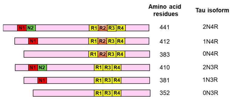 https://cdn.ncbi.nlm.nih.gov/pmc/blobs/eeef/11240328/2540387c5ec4/cells-13-01112-g001.jpg