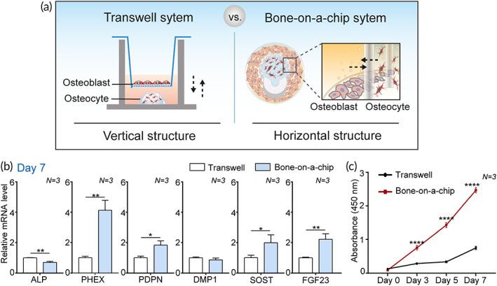 https://cdn.ncbi.nlm.nih.gov/pmc/blobs/ef04/9842054/532ea2a66a73/BTM2-8-e10313-g003.jpg