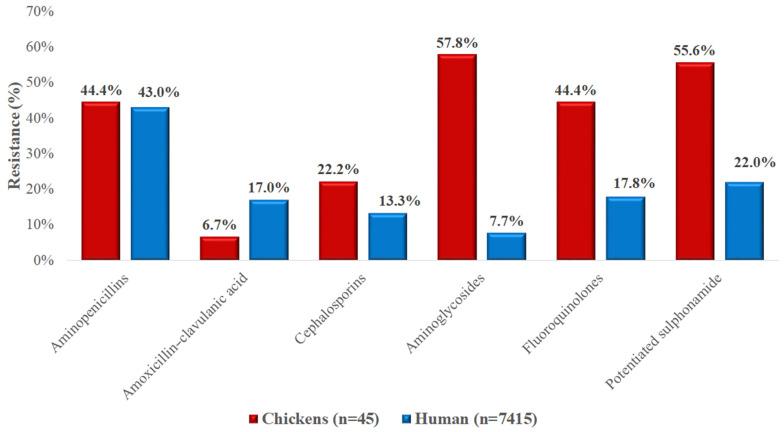 https://cdn.ncbi.nlm.nih.gov/pmc/blobs/ef05/12389816/cb5d838e14d1/vetsci-12-00691-g010.jpg