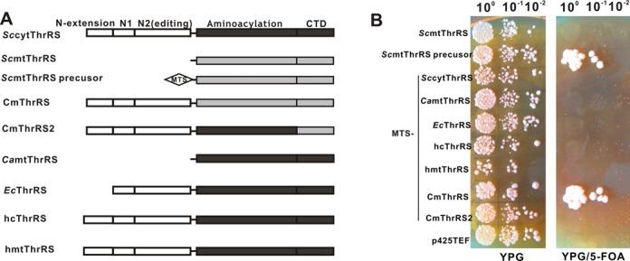 https://cdn.ncbi.nlm.nih.gov/pmc/blobs/ef7d/4267643/4dd67b9c986d/gku1218fig7.jpg