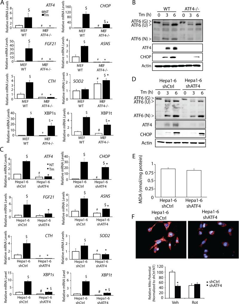 https://cdn.ncbi.nlm.nih.gov/pmc/blobs/efa5/4850040/4bcf8f551d5a/1536fig1.jpg