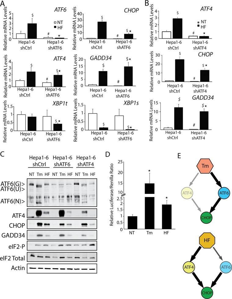 https://cdn.ncbi.nlm.nih.gov/pmc/blobs/efa5/4850040/6b983cd987da/1536fig3.jpg