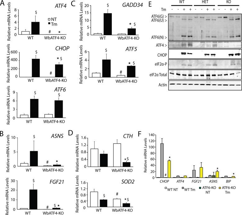 https://cdn.ncbi.nlm.nih.gov/pmc/blobs/efa5/4850040/ce1ffc012ead/1536fig4.jpg