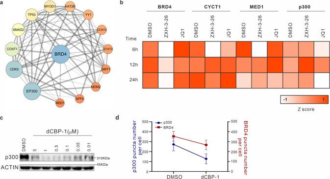 https://cdn.ncbi.nlm.nih.gov/pmc/blobs/efb2/10167318/295d21e95ca3/41421_2023_544_Fig5_HTML.jpg