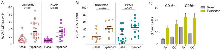 https://cdn.ncbi.nlm.nih.gov/pmc/blobs/efd2/7760715/d27b2f47b341/cells-09-02568-g001.jpg
