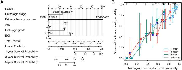 https://cdn.ncbi.nlm.nih.gov/pmc/blobs/efd5/8826557/e71c51bc9d12/fgene-13-765569-g005.jpg
