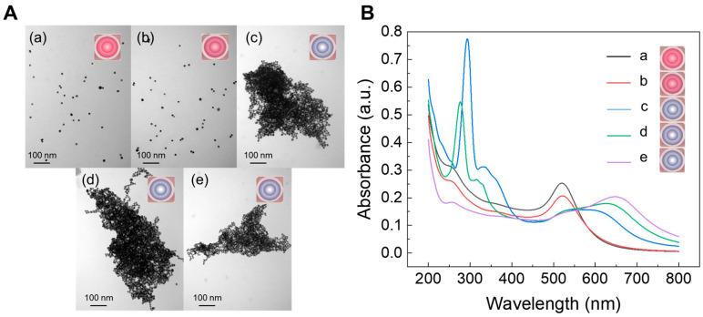 https://cdn.ncbi.nlm.nih.gov/pmc/blobs/efea/12116012/15a24e74f04b/sensors-25-03228-g001.jpg