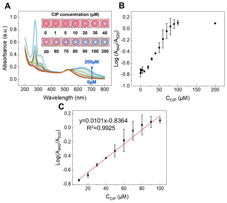 https://cdn.ncbi.nlm.nih.gov/pmc/blobs/efea/12116012/cebadd0fdb82/sensors-25-03228-g006.jpg