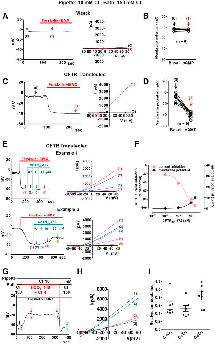https://cdn.ncbi.nlm.nih.gov/pmc/blobs/effb/6889609/01fa2a883fa1/gr1.jpg
