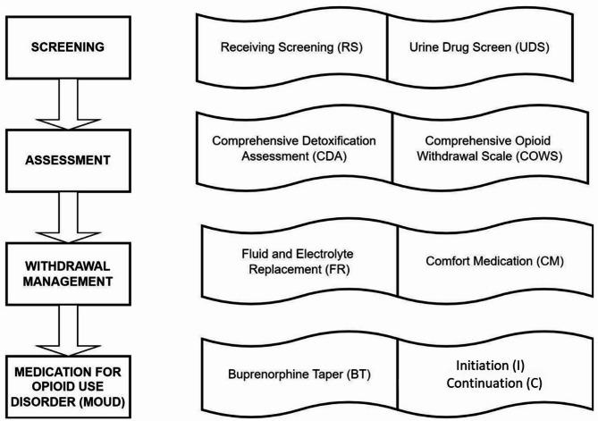 https://cdn.ncbi.nlm.nih.gov/pmc/blobs/f007/12351882/93ff058e3190/13011_2025_667_Fig1_HTML.jpg