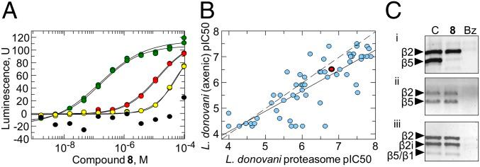 https://cdn.ncbi.nlm.nih.gov/pmc/blobs/f00a/6511062/51a8ec43c170/pnas.1820175116fig04.jpg