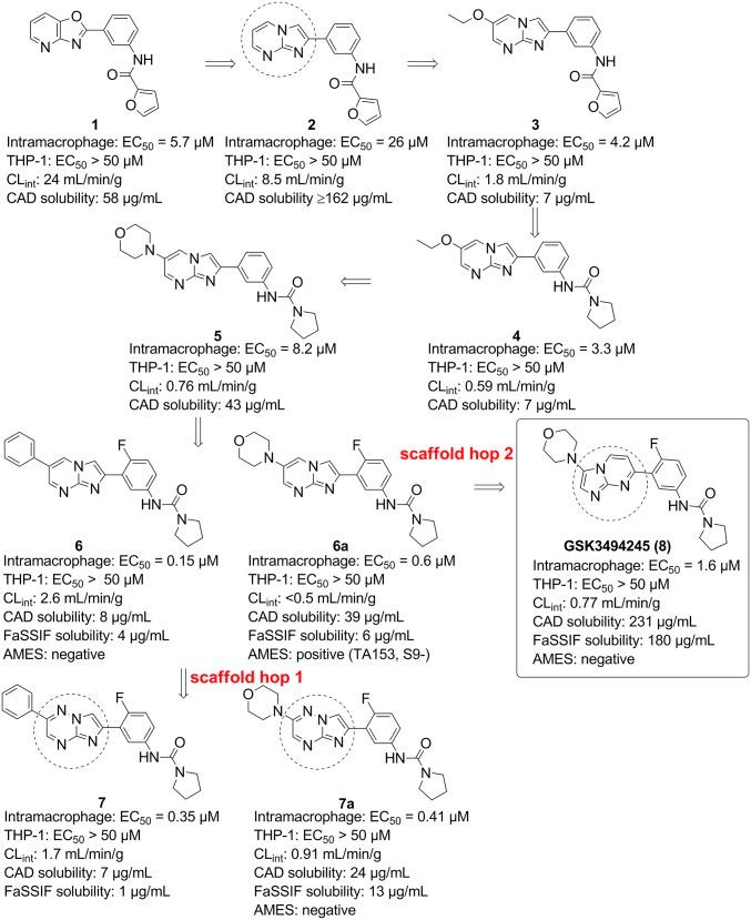 https://cdn.ncbi.nlm.nih.gov/pmc/blobs/f00a/6511062/f598e8e9eb04/pnas.1820175116fig01.jpg