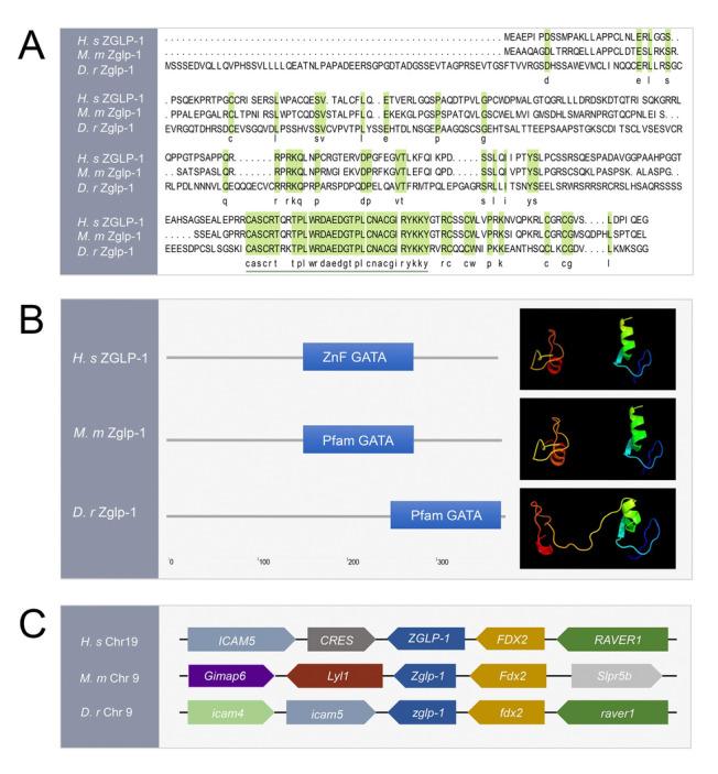 https://cdn.ncbi.nlm.nih.gov/pmc/blobs/f011/12102022/fe5bef2072a3/42995_2025_299_Fig1_HTML.jpg