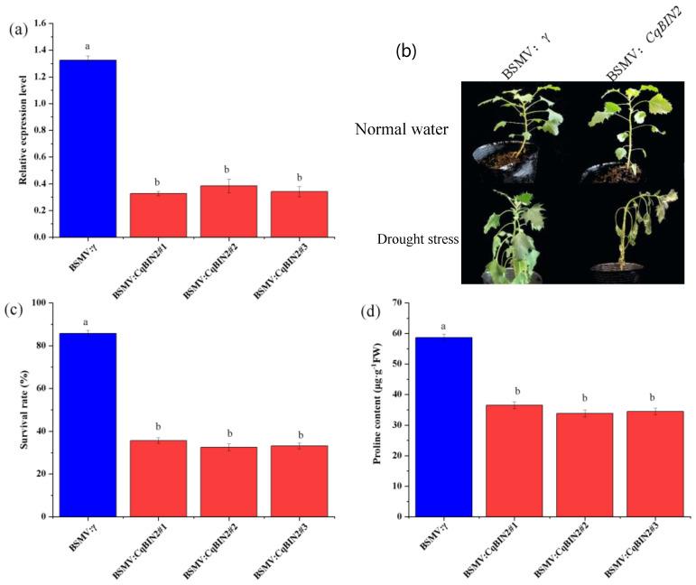 https://cdn.ncbi.nlm.nih.gov/pmc/blobs/f01d/10974127/73a4b70b7012/plants-13-00873-g011.jpg