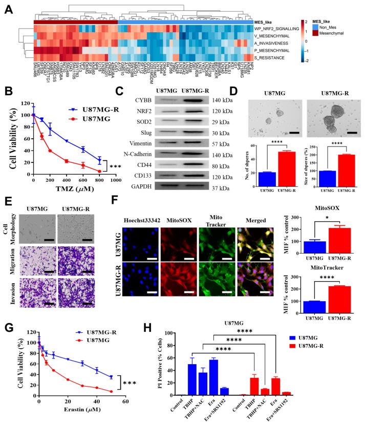 https://cdn.ncbi.nlm.nih.gov/pmc/blobs/f02c/10178261/b5a773abdc92/ijms-24-07706-g003.jpg
