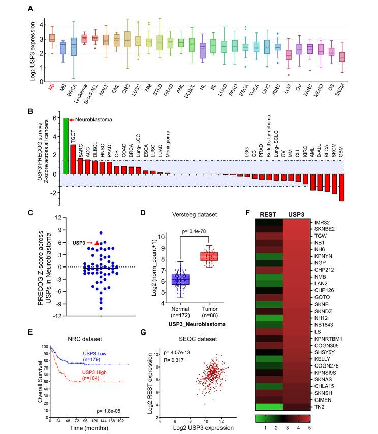 https://cdn.ncbi.nlm.nih.gov/pmc/blobs/f041/10176696/516e3bdcdf98/13046_2023_2694_Fig4_HTML.jpg