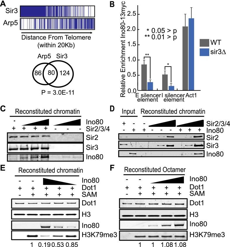 https://cdn.ncbi.nlm.nih.gov/pmc/blobs/f045/4335291/36ccbce6830d/350fig3.jpg