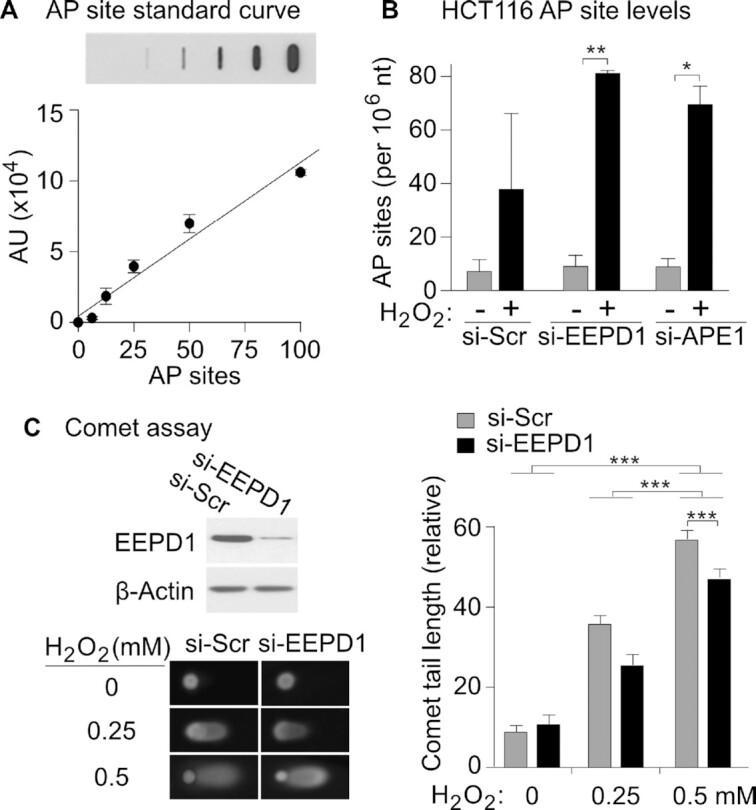 https://cdn.ncbi.nlm.nih.gov/pmc/blobs/f054/9846428/0a48c49fe596/zcac044fig7.jpg
