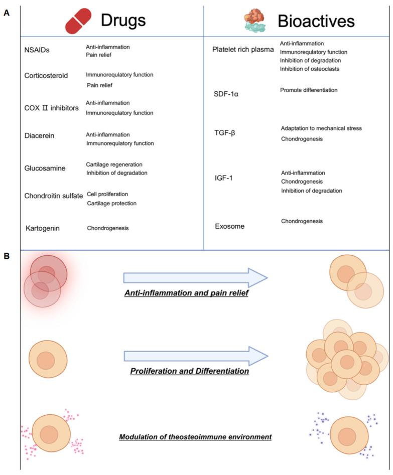https://cdn.ncbi.nlm.nih.gov/pmc/blobs/f072/11048369/64a13bc37d56/biomedicines-12-00923-g005.jpg