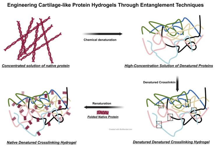 https://cdn.ncbi.nlm.nih.gov/pmc/blobs/f072/11048369/d0129c85649c/biomedicines-12-00923-g010.jpg