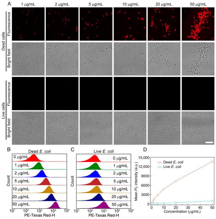 https://cdn.ncbi.nlm.nih.gov/pmc/blobs/f07b/9688158/16f699f0c571/biosensors-12-01000-g001.jpg