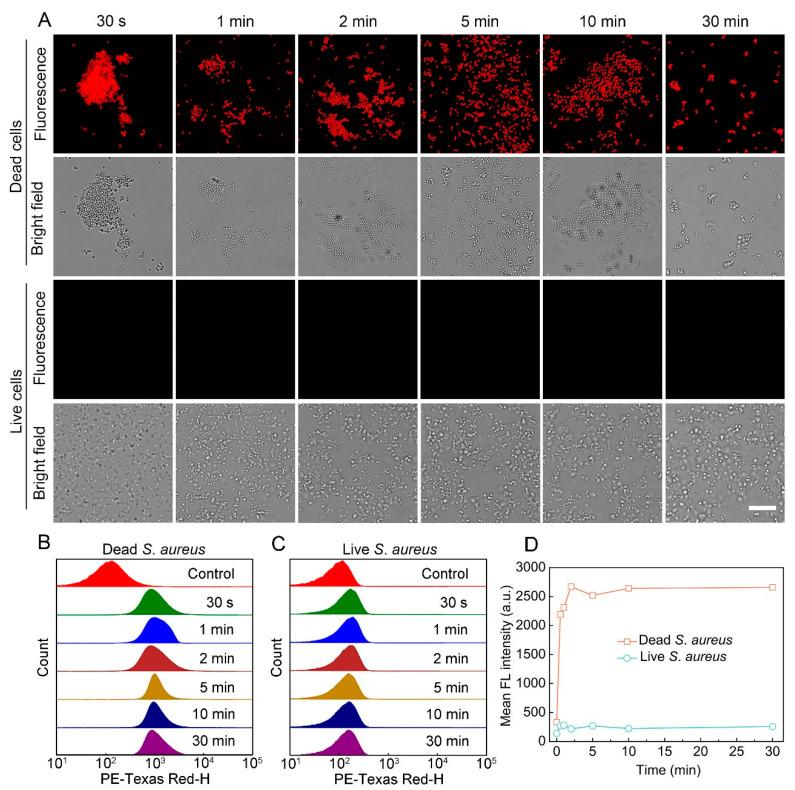 https://cdn.ncbi.nlm.nih.gov/pmc/blobs/f07b/9688158/3b9318d6b0a8/biosensors-12-01000-g004.jpg