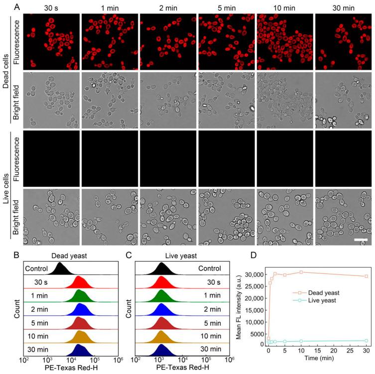 https://cdn.ncbi.nlm.nih.gov/pmc/blobs/f07b/9688158/b7a2d2aefa43/biosensors-12-01000-g006.jpg