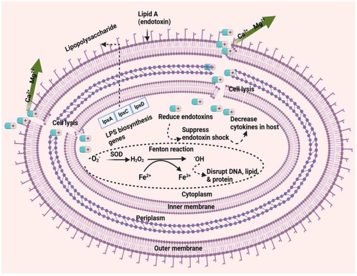 https://cdn.ncbi.nlm.nih.gov/pmc/blobs/f0c5/11728550/b3785cac48d2/pathogens-13-01049-g001.jpg