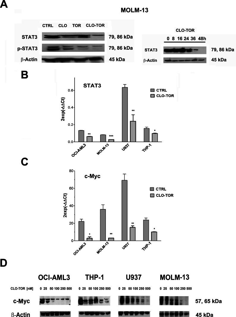 https://cdn.ncbi.nlm.nih.gov/pmc/blobs/f0d1/3681499/5e54409ba97a/oncotarget-03-1615-g005.jpg