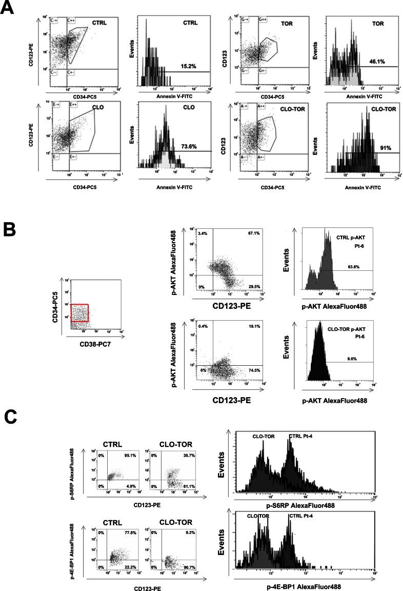 https://cdn.ncbi.nlm.nih.gov/pmc/blobs/f0d1/3681499/8337c3412baf/oncotarget-03-1615-g007.jpg
