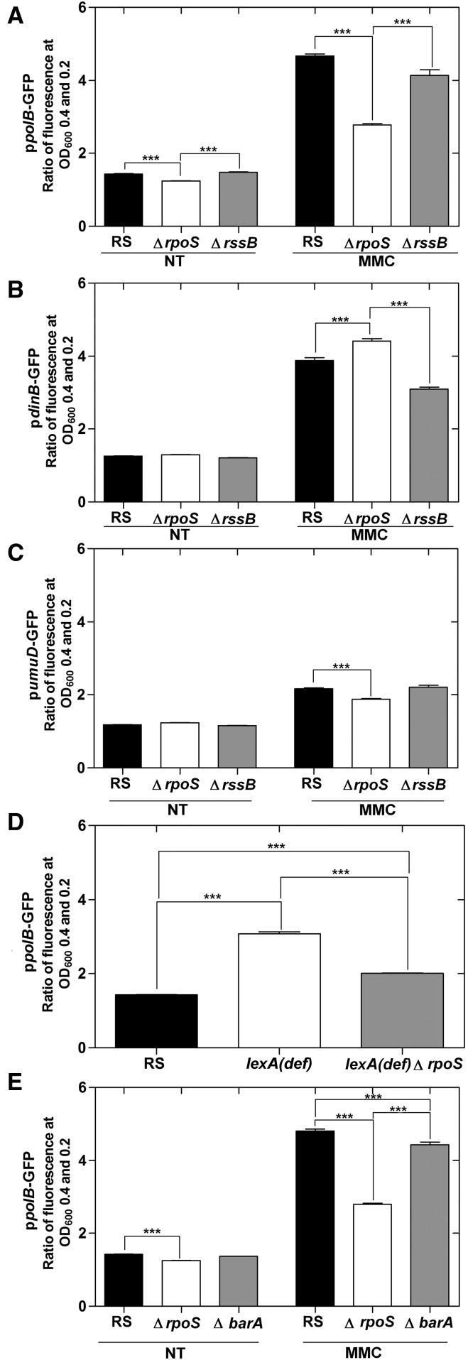 https://cdn.ncbi.nlm.nih.gov/pmc/blobs/f0ec/5500135/ae1cef1abfd0/1349fig5.jpg