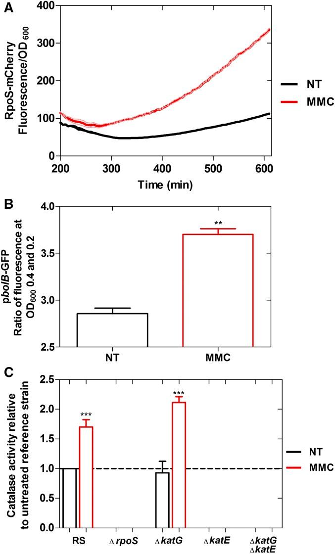 https://cdn.ncbi.nlm.nih.gov/pmc/blobs/f0ec/5500135/ba9a624d617c/1349fig1.jpg